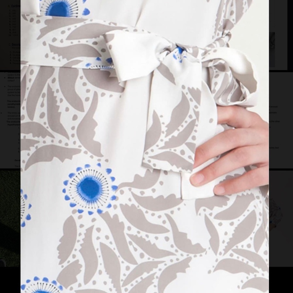 DVF Julieta Printed Shirtdress | 100% SILK - Picture 3 of 8